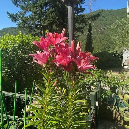 Leivi, La Casa Di Lulu *
