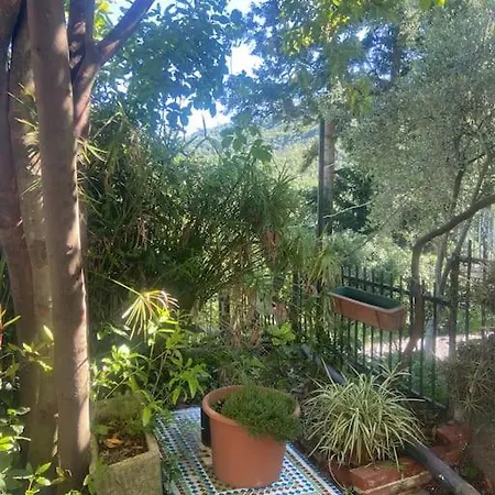Casa vacanze Leivi, La Casa Di Lulu Leivi