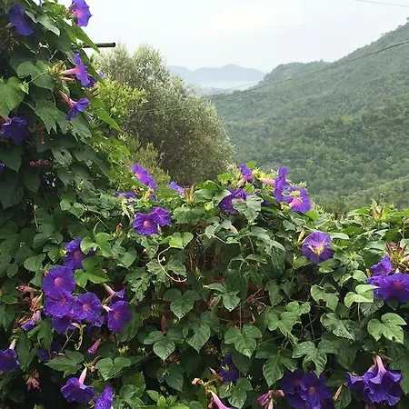 Leivi, La Casa Di Lulu Leivi